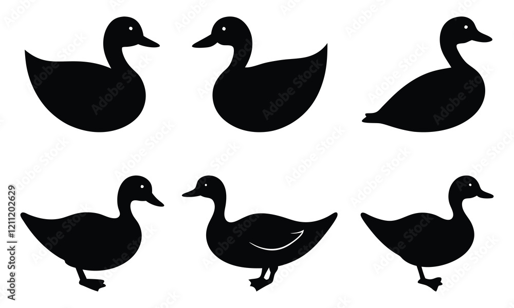 Fototapeta premium Black Silhouette Ducks - Nature Icon Design
