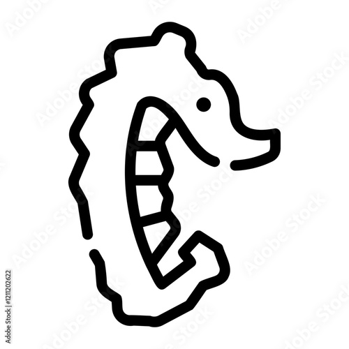 Photography seahorse