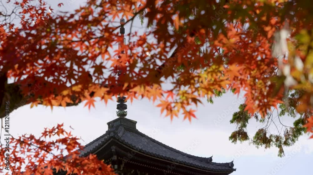Beautiful tall Pagoda behind autumn colors in Japan Beautiful tall Pagoda behind autumn colors in Japan