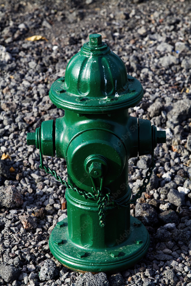 Green Fire Hydrant Standing In Field Of Lava Rocks Green Fire Hydrant Standing In Field Of Lava Rocks