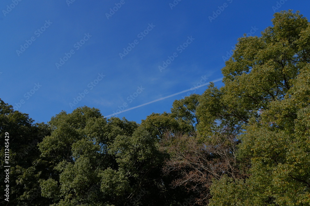Obraz premium 御塚・権現塚古墳 公園の風景