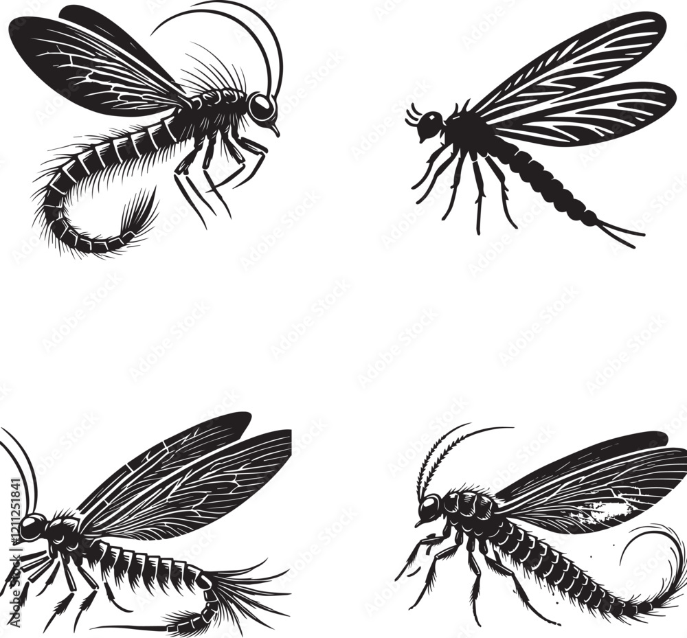 Detailed Silhouettes of Various Flying Insects Detailed Silhouettes of Various Flying Insects