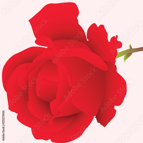 Realistic Natural Rose Vector Illustration photo