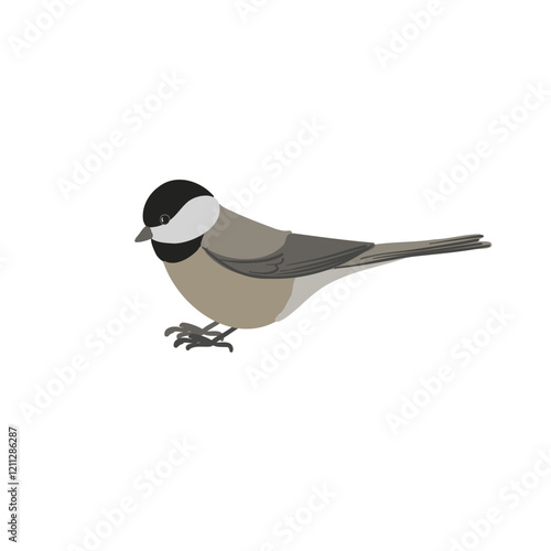 vector drawing bird, black-capped chickadee, hand drawn Poecile atricapillus, isolated nature design element
