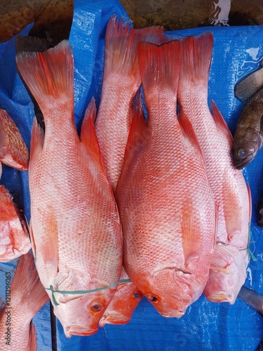 various types of fish sold at the fish auction.