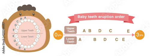 Black Baby teeth eruption order and baby with its mouth wide open.
