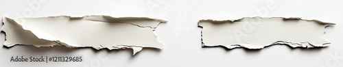 Torn Paper Edge Isolated on White Background - Realistic Textured Ripped Paper