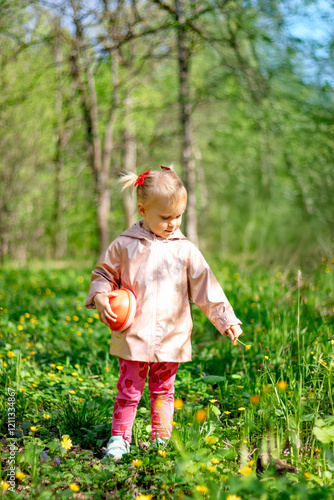 A little girl of 2-3 years old stays in the forest and enjoys nature. Background of a green forest. The girl holds tightly in her hand an orange jar in which she collects the flowers she likes.