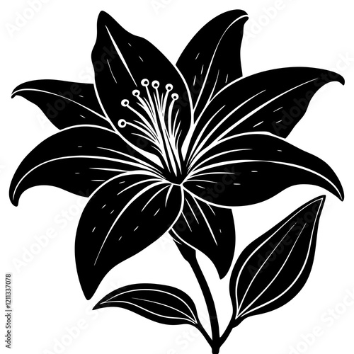 Elegant Lily Silhouette on White