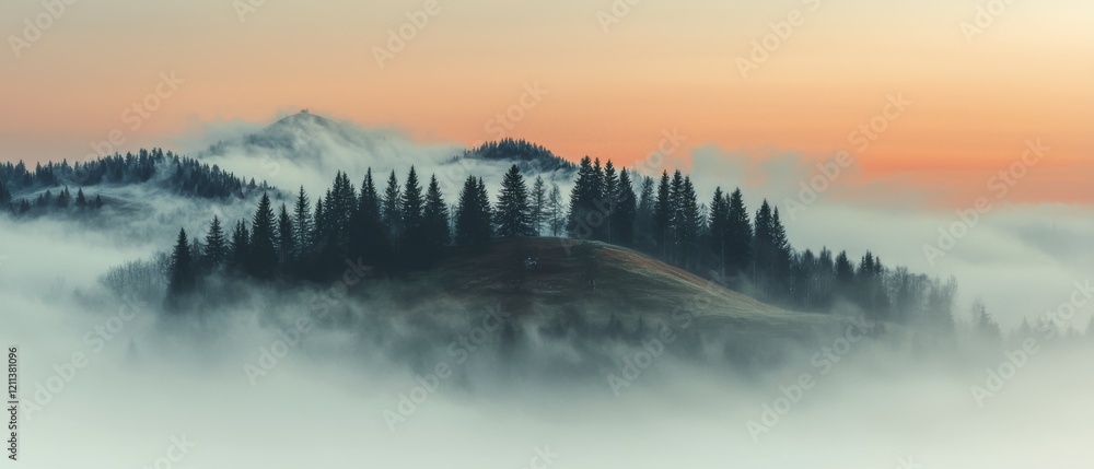 Fototapeta premium Misty Pine Forest Dawn Serene Mountain Landscape Photography