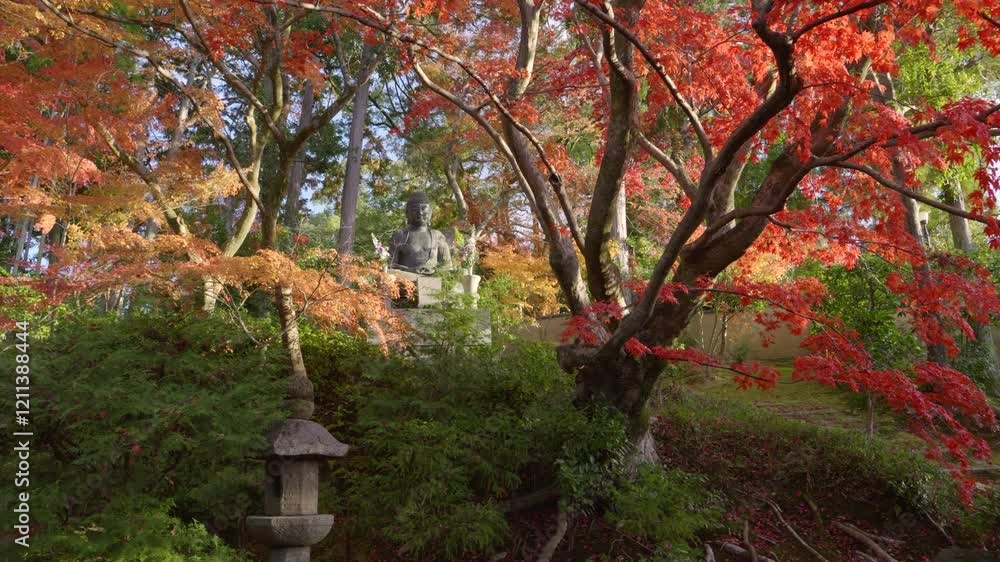 Wide open shot over Buddha statue during fall colors in Japan Wide open shot over Buddha statue during fall colors in Japan