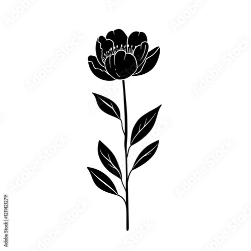 Peony Puff flowers silhouette vector illustration