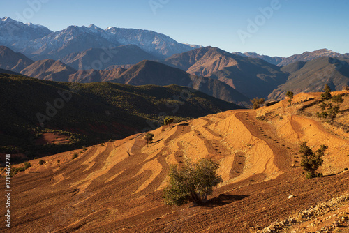 North Africa. Country Morocco. Beautiful landscape in the High Atlas Mountains. Village on the mountain slopes.

 photo