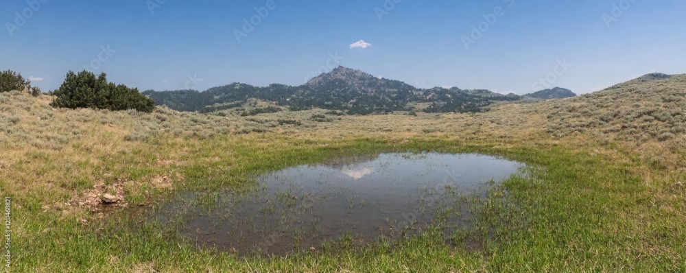 Fototapeta premium Scenic mountain landscape featuring a tranquil pond surrounded by lush greenery.