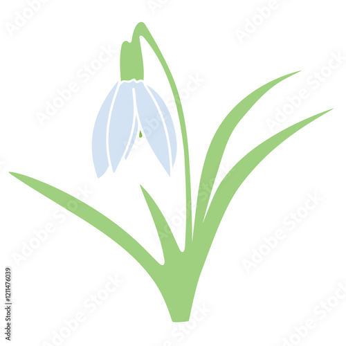 Cute hand drawn snowdrop with leaves. Spring flower. Vector illustration