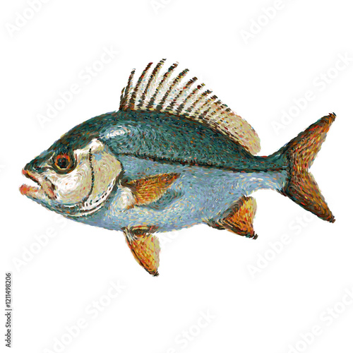 Fish swimming ocean illustration. Vector with isolated marine water animal underwater art
