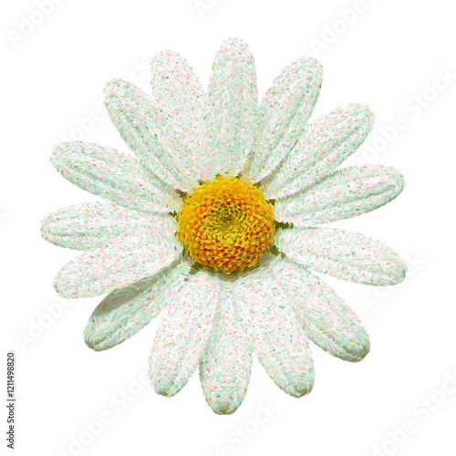 White daisy flower vector illustration isolated with yellow center and petals