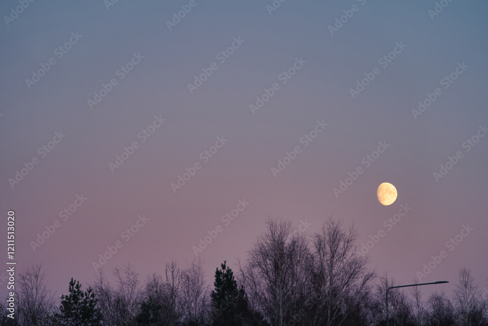Soft Moon Floating in the Twilight Sky Soft Moon Floating in the Twilight Sky