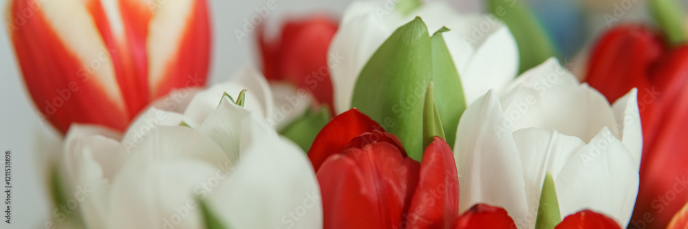 Naklejka premium Spring Inspiration: Tulip Bouquet in Honor of International Women's Day
