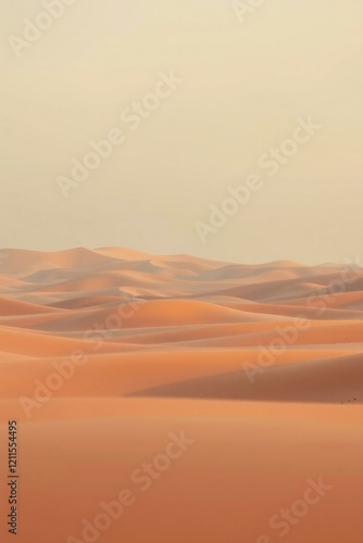 Sunset over the sand dunes in the desert