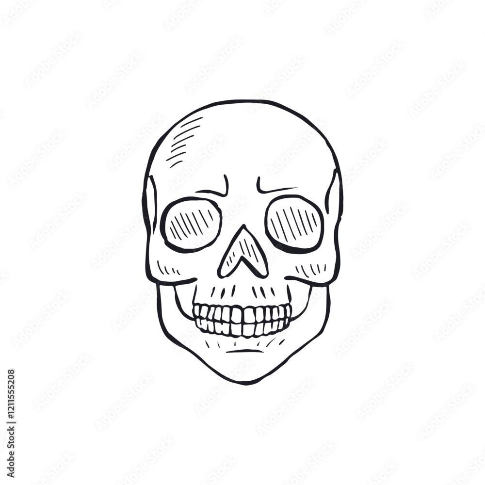 Fototapeta premium Hand drawn black and white line art human skull isolated on white background. Monochrome skeleton head design