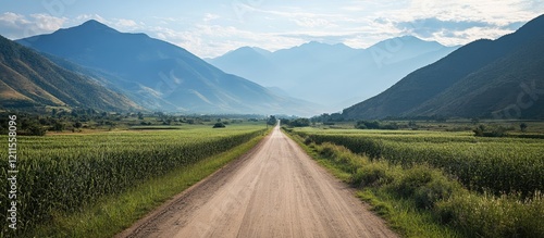 Scenic dirt road stretching through vibrant green fields with mountains in the background under a blue sky creating a picturesque nature landscape. photo