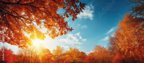 Vibrant autumn landscape with golden-orange foliage under a bright blue sky and soft white clouds illuminated by warm sunlight in the background photo