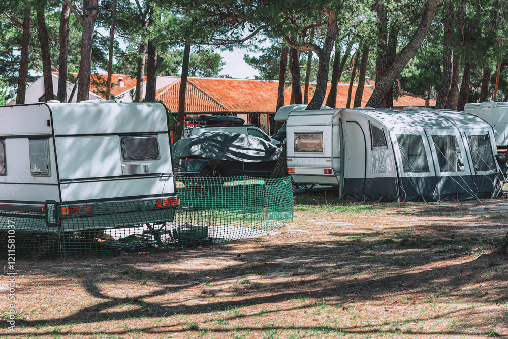 Camping area with several caravans and tents set up among tall pine trees. Perfect place for summer vacation
