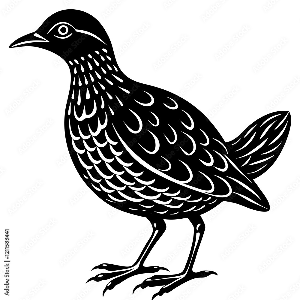Fototapeta premium Minimalist Oilbird on White Background