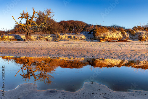 weststrand darß photo