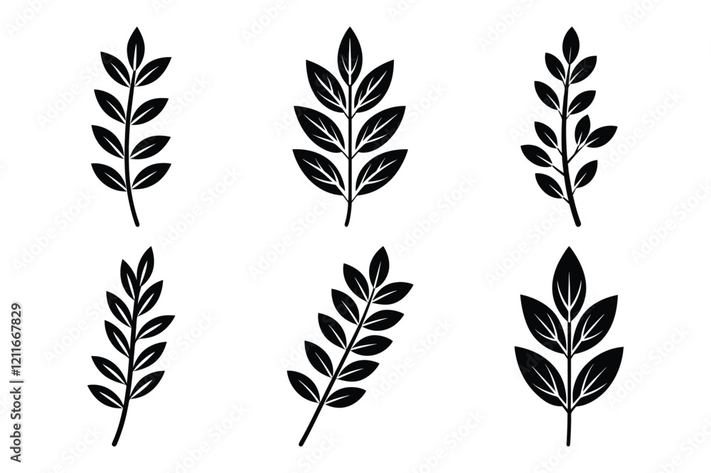 Black thyme branches icon set on white background. Minimalistic botanical elements for cosmetics. Thyme Herb and Spice Icon set Black thyme branches icon set on white background. Minimalistic botanical elements for cosmetics. Thyme Herb and Spice Icon set