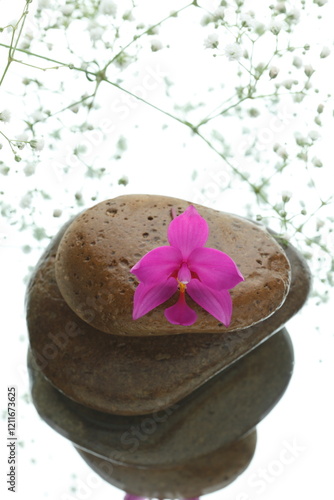 zen stones and orchid on white backgraound
