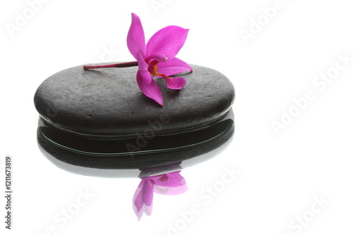 zen stones and orchid on white backgraound