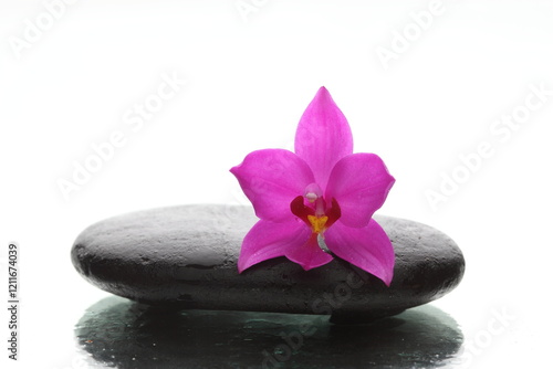 zen stones and orchid on white backgraound