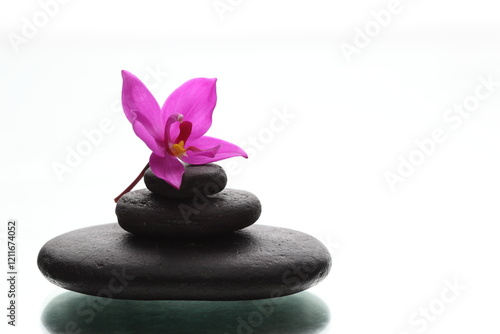 zen stones and orchid on white backgraound