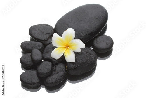 spa still life with frangipani flower