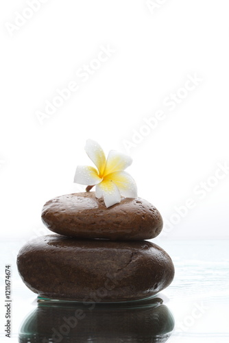 spa still life with frangipani flower