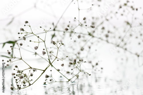 Zen stones with water drops