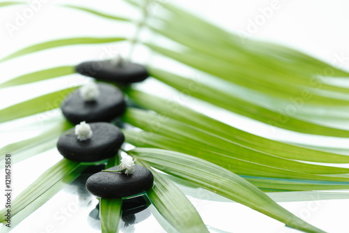 spa stones and leaves on white backgraound 