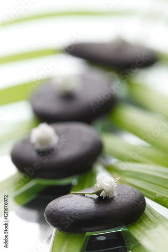 spa stones and leaves on white backgraound 