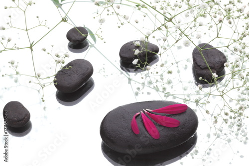 spa stones and flower on white background 