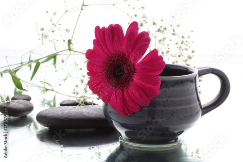 spa still life with a gerbera flower