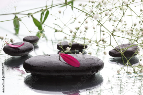 spa stones and leaves on white background 