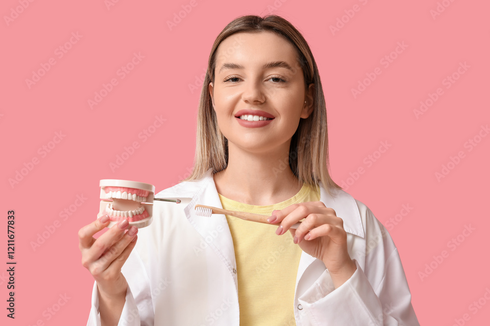 Female dentist with toothbrush and jaw model on pink background, closeup Female dentist with toothbrush and jaw model on pink background, closeup
