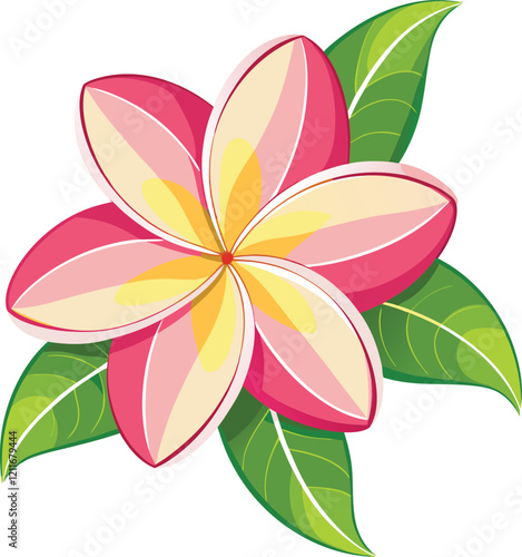 vector flower illustration on white background