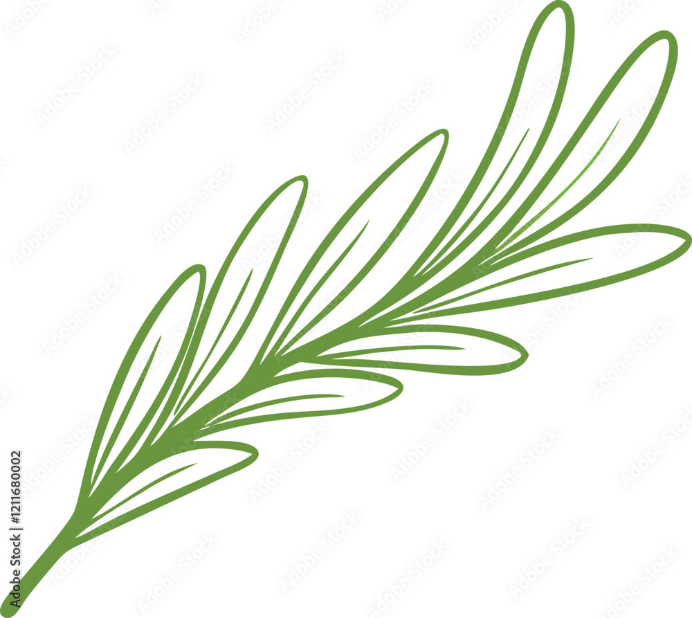 Obraz premium olive tree leaves vector illustration
