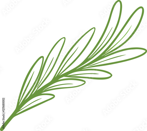 olive tree leaves vector illustration