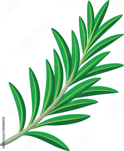 a green leaf plant