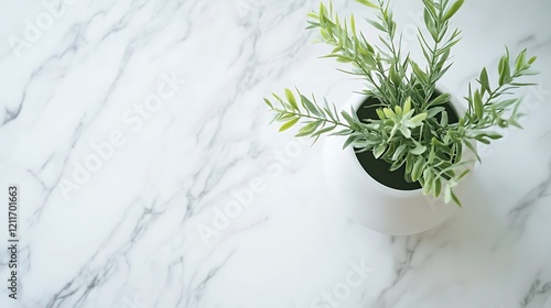 Serene Greenery: A Minimalist Plant in a White Pot on Marble