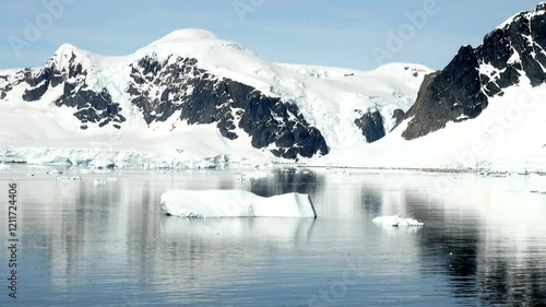 A video shows a leaf surrounded by ice mountains
